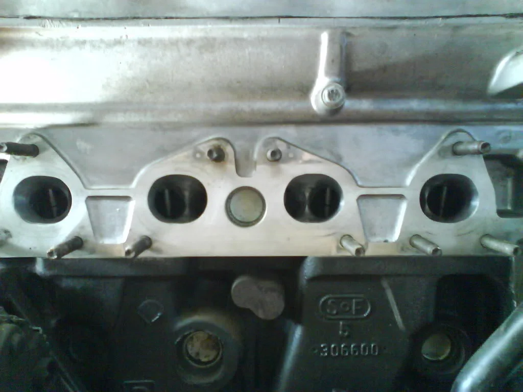 DSC00101.webp