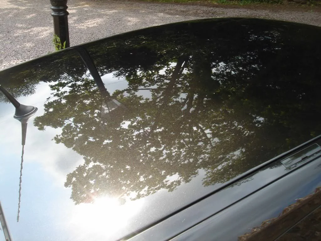 DSC00102.webp