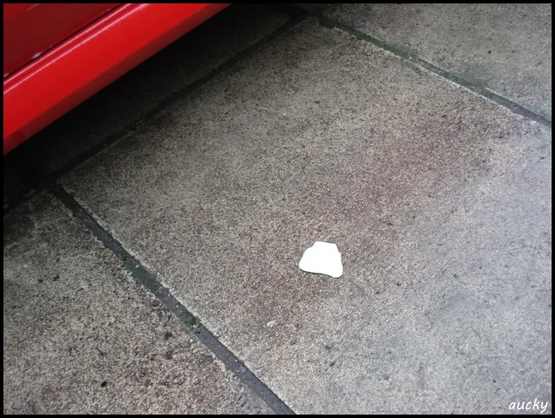 DSC00104.jpg DSC00104.jpg