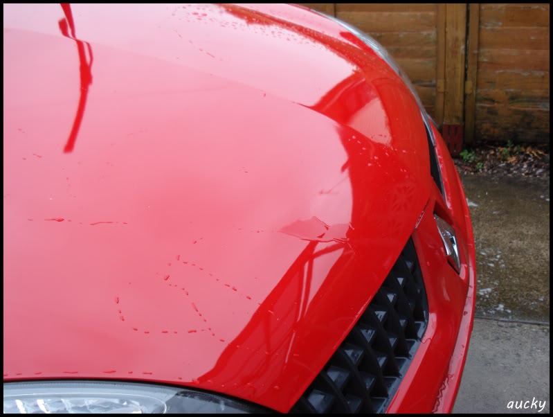 DSC00105.jpg DSC00105.jpg