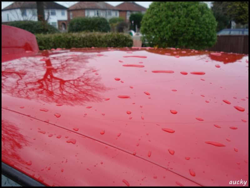 DSC00106.jpg DSC00106.jpg