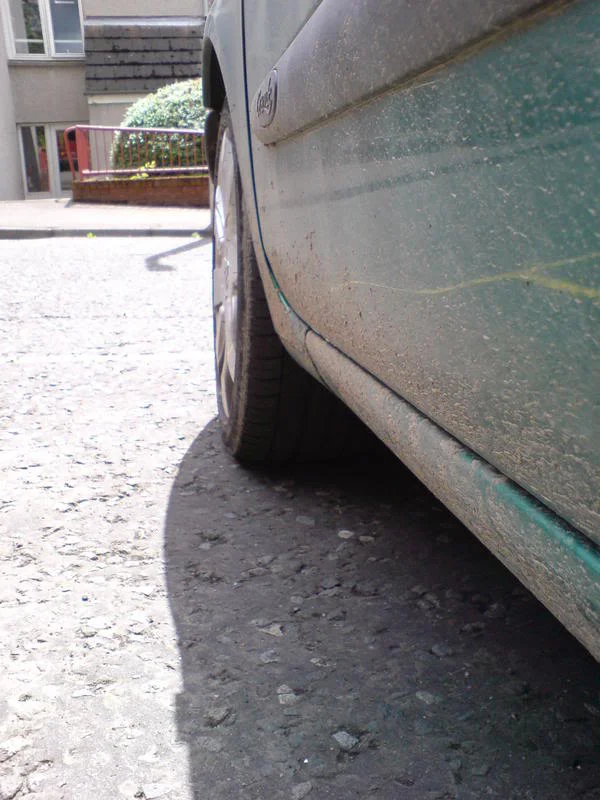 DSC00109-1.webp