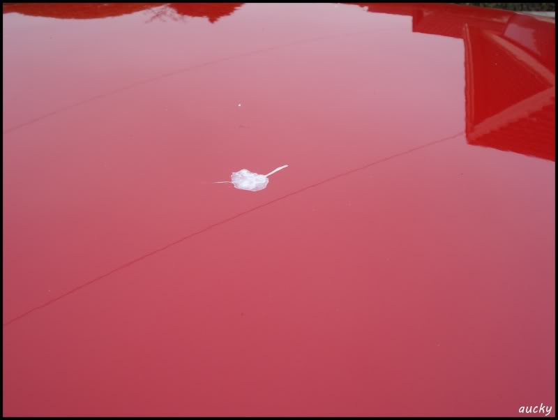 DSC00110.jpg DSC00110.jpg