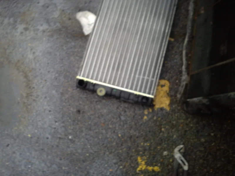 DSC00112.webp