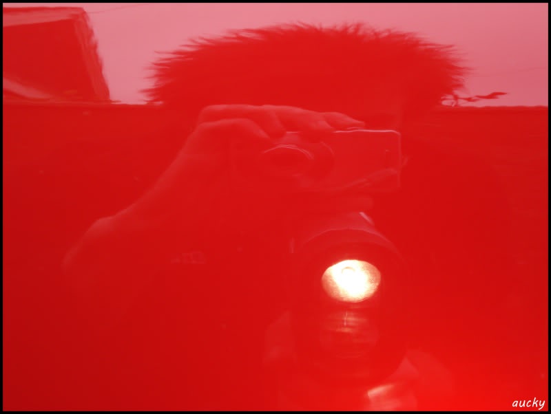 DSC00113.jpg DSC00113.jpg