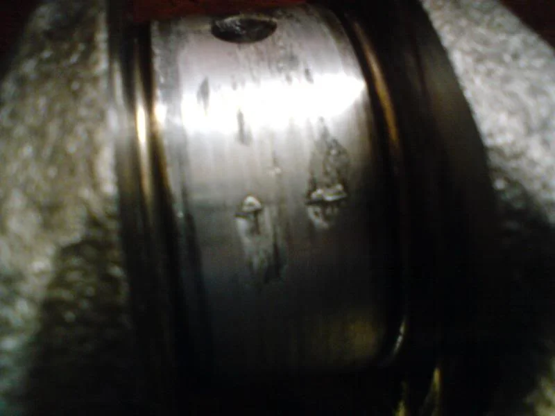 DSC00113.webp