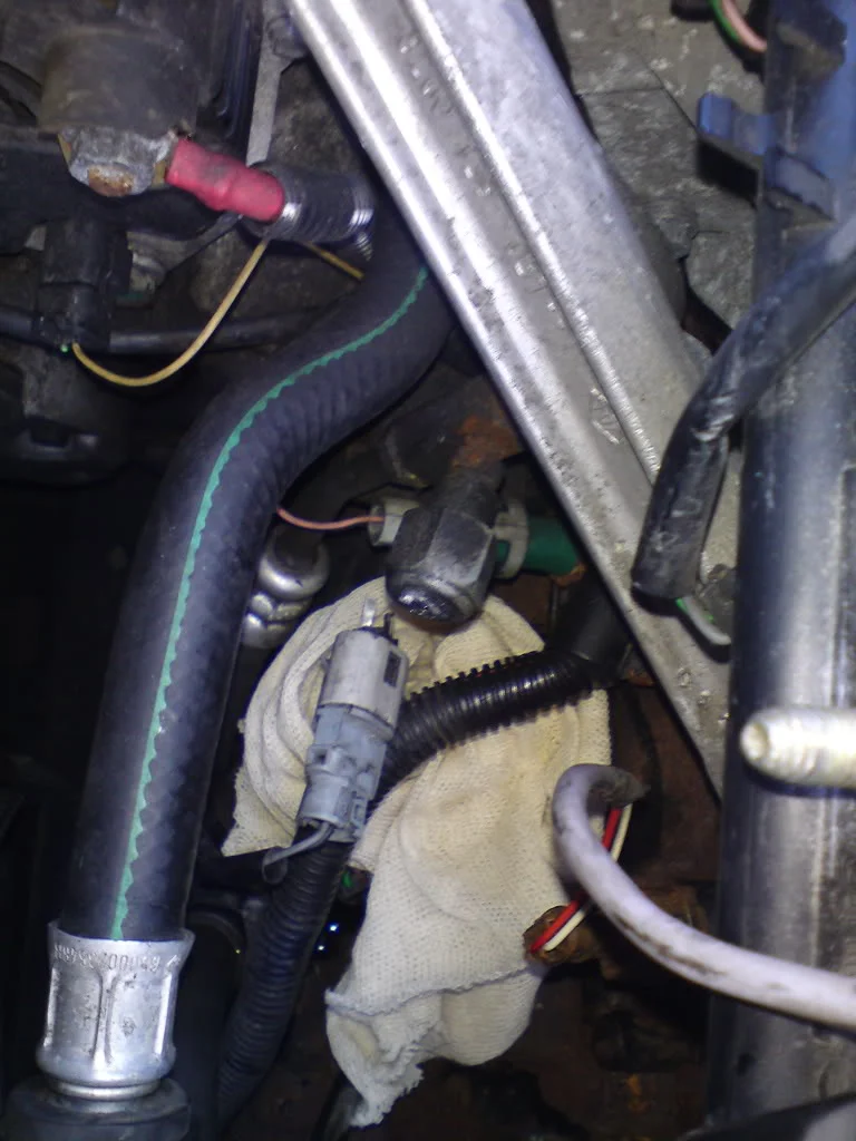DSC00116-1.webp