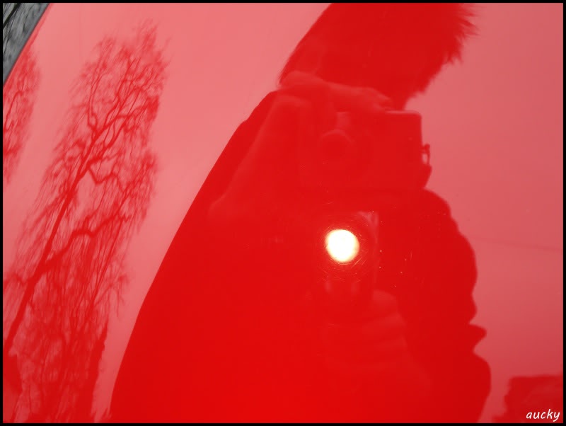 DSC00116.jpg DSC00116.jpg