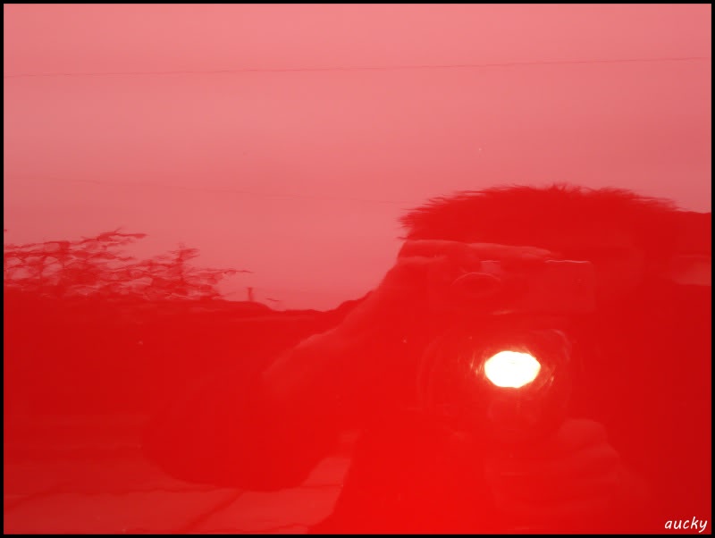 DSC00117.jpg DSC00117.jpg