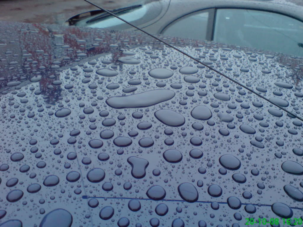 DSC00118.webp