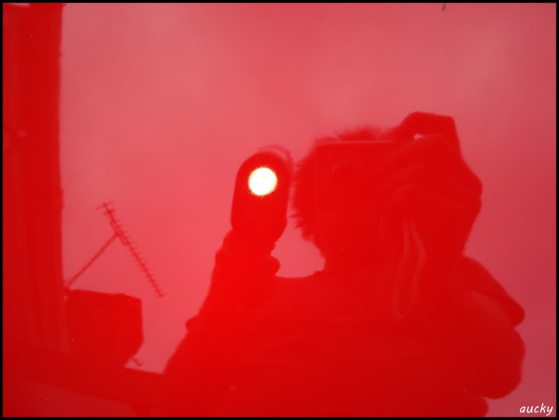 DSC00125.jpg DSC00125.jpg