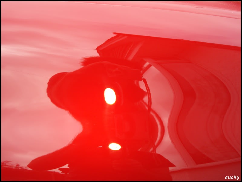 DSC00127.jpg DSC00127.jpg