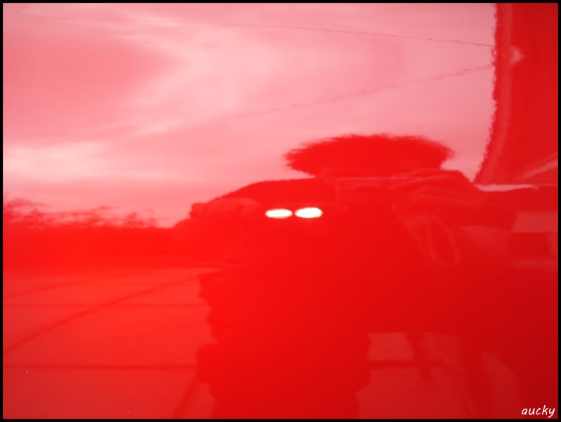 DSC00128.jpg DSC00128.jpg