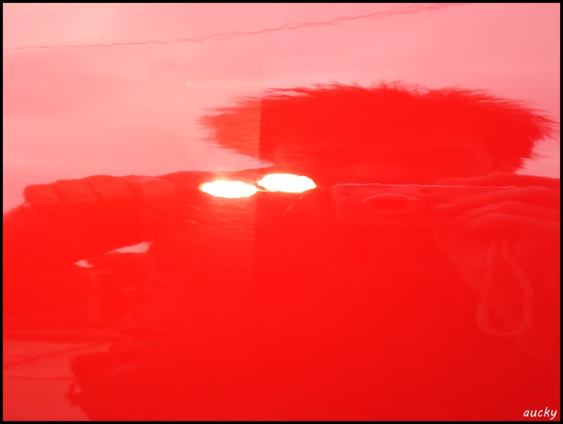 DSC00129.jpg DSC00129.jpg