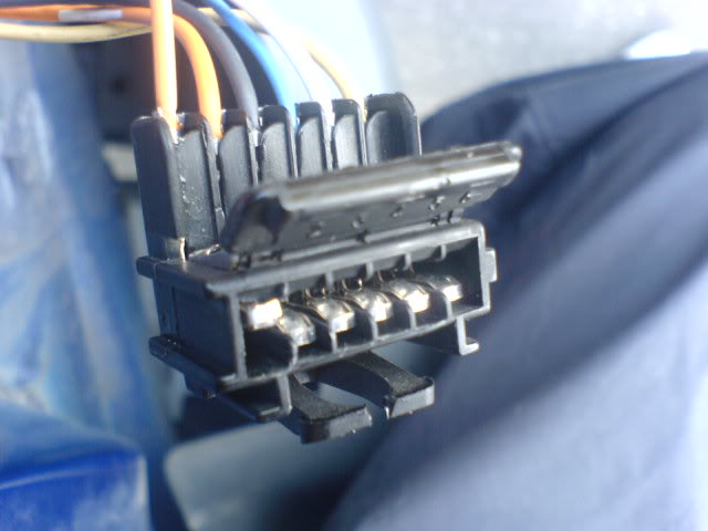 DSC00130.jpg