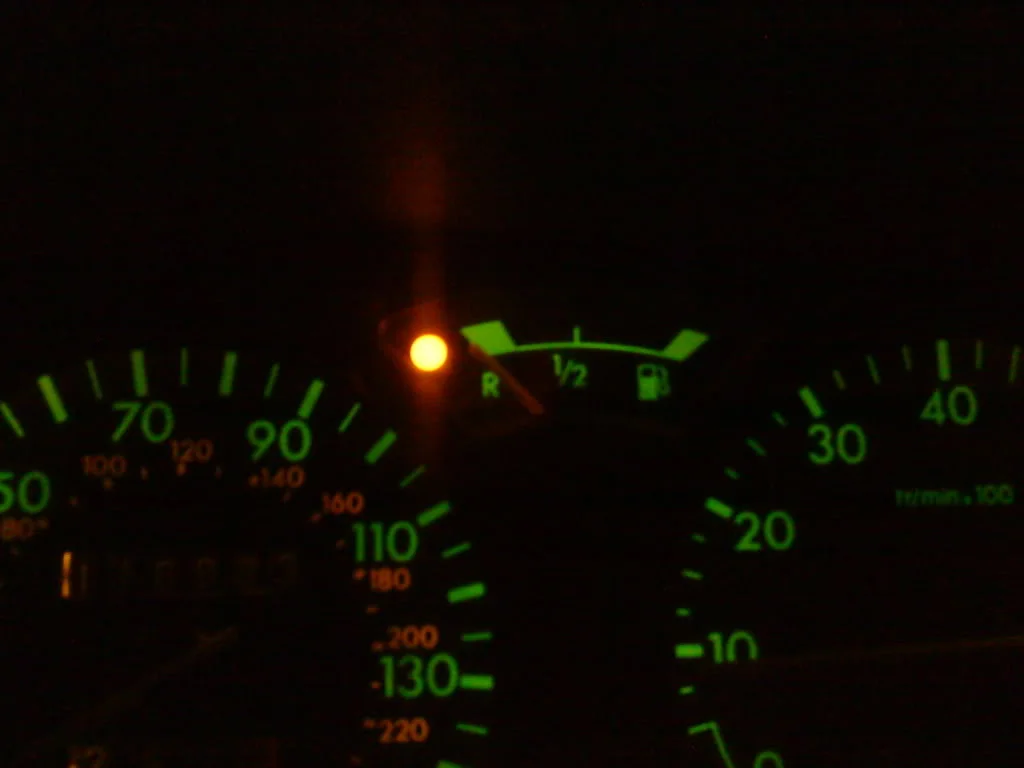 DSC00131.webp