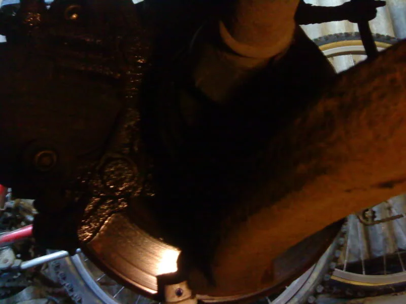 DSC00131.webp