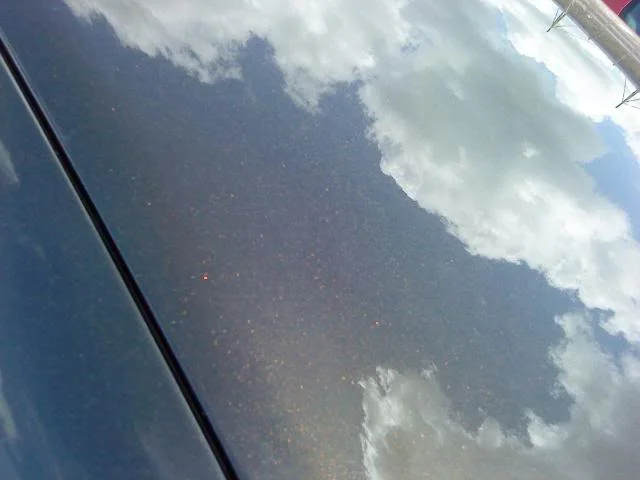 DSC00134.webp