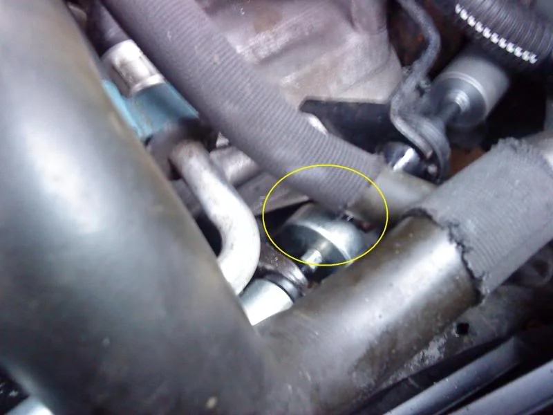 DSC00135-1.webp