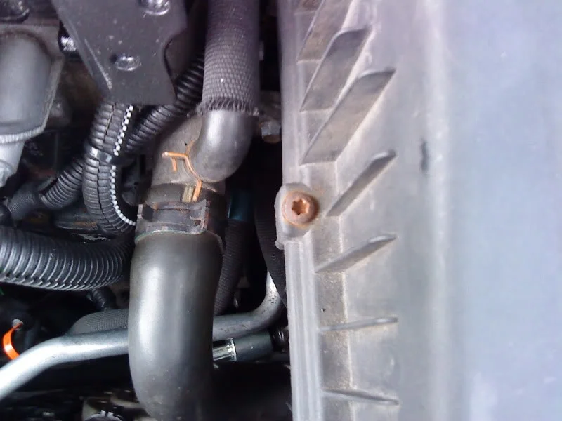 DSC00137_2.webp