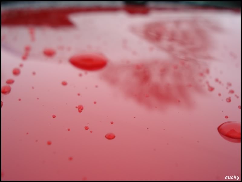 DSC00140.jpg DSC00140.jpg