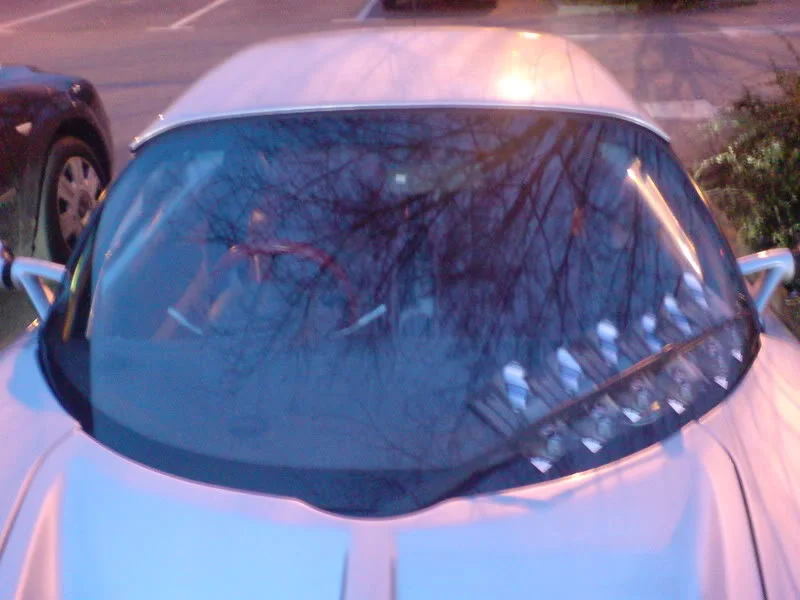 DSC00140.webp