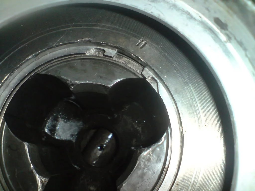 DSC00140.webp