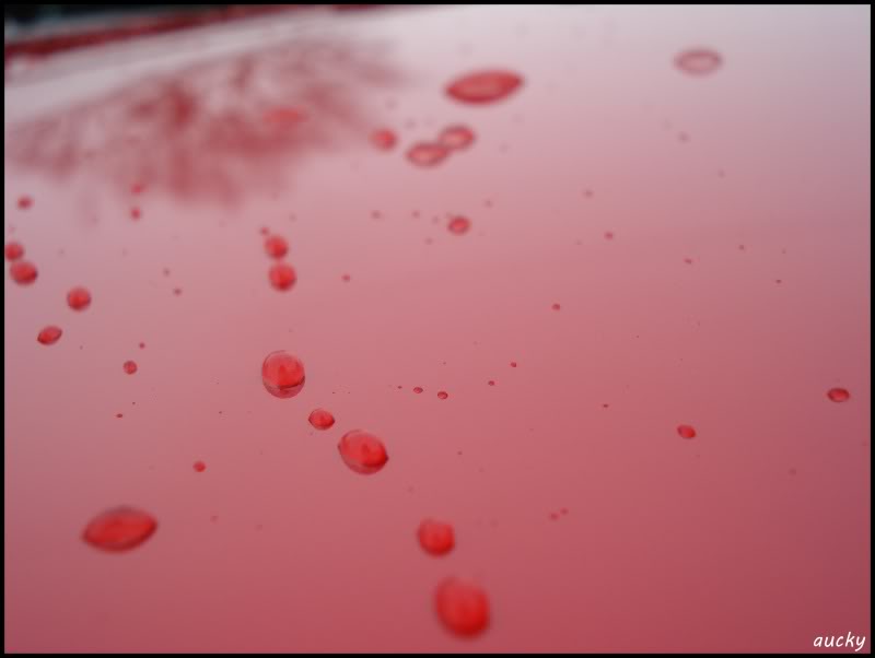 DSC00141.jpg DSC00141.jpg