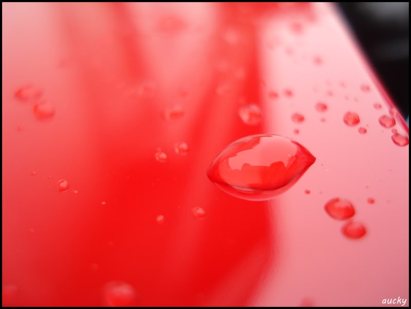 DSC00142.jpg DSC00142.jpg