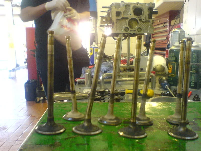 DSC00142.webp