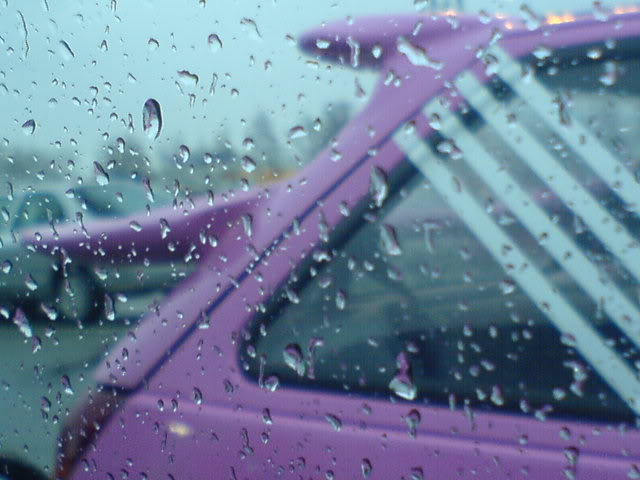 DSC00143.jpg DSC00143.jpg