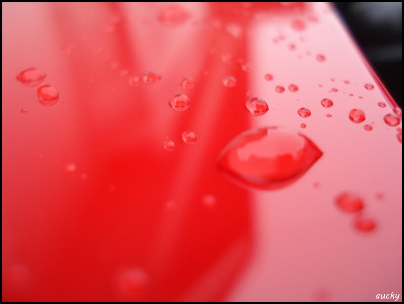 DSC00143.jpg DSC00143.jpg