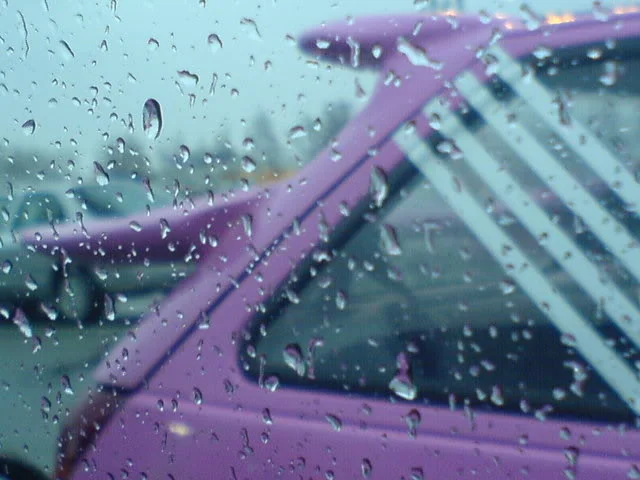 DSC00143.webp