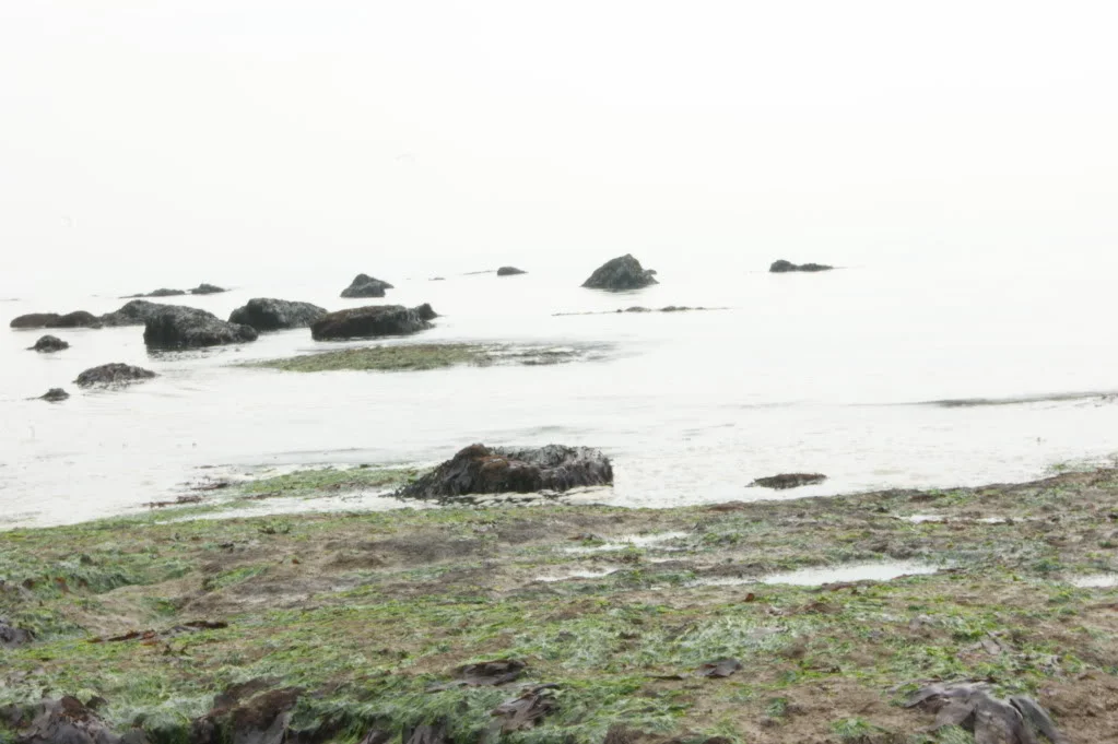 DSC00144.webp