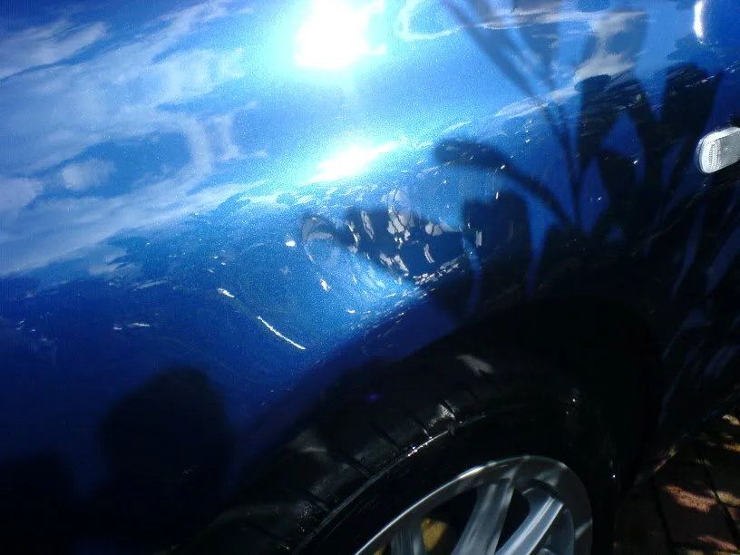 DSC00147.webp