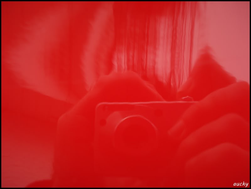 DSC00148.jpg DSC00148.jpg