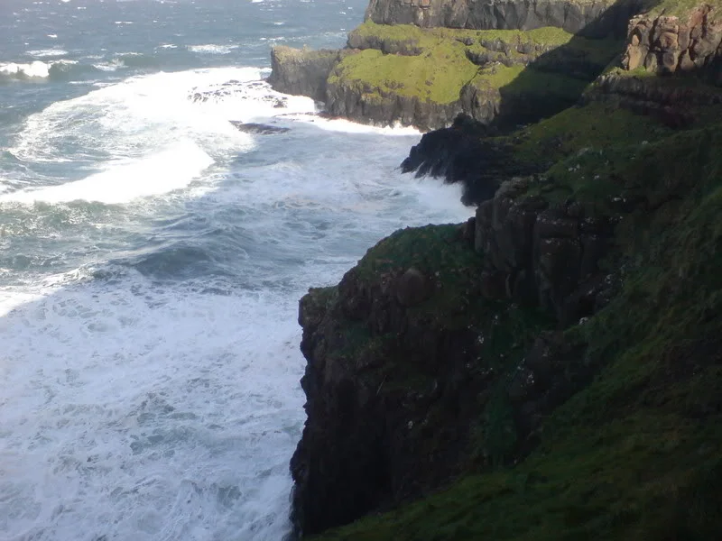 DSC00150.webp