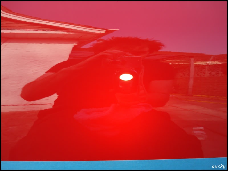 DSC00155.jpg DSC00155.jpg