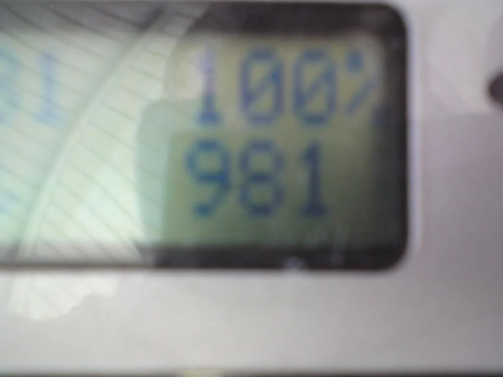 DSC00155.webp