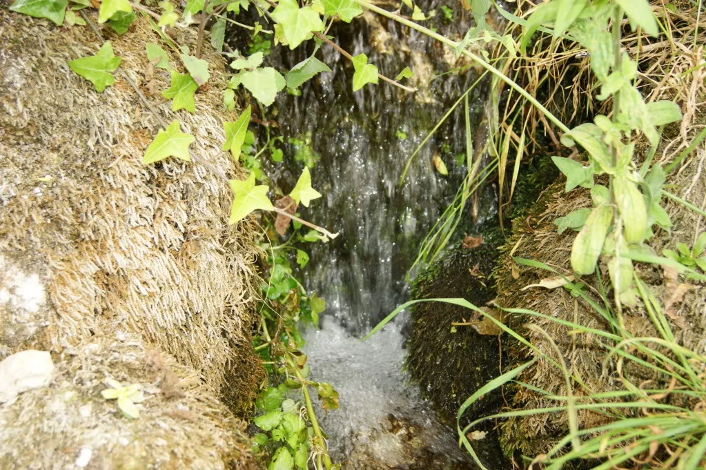 DSC00158.webp