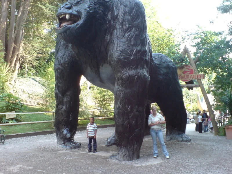 DSC00161.webp