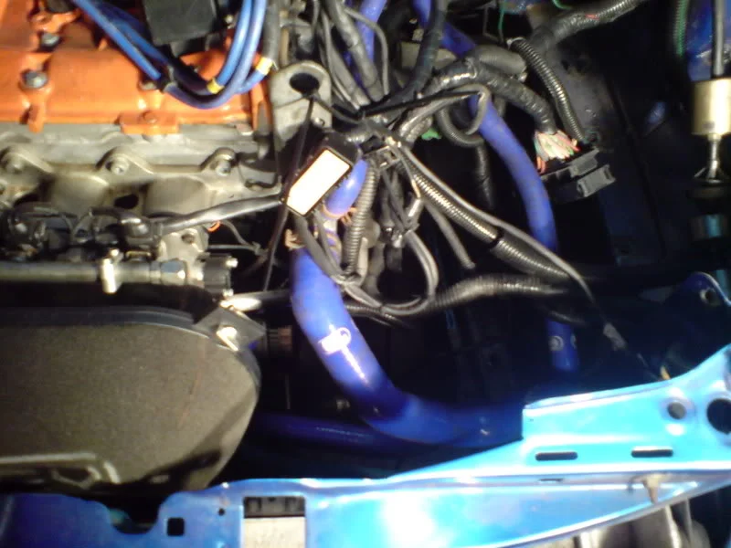 DSC00163.webp
