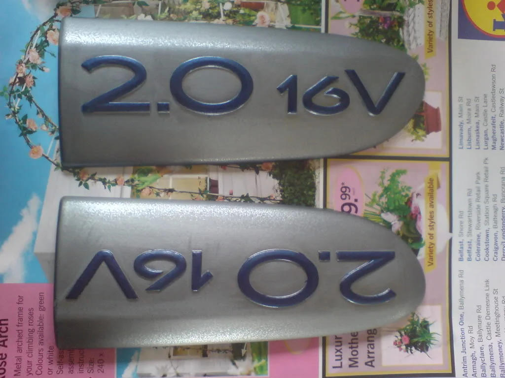 DSC00164.webp