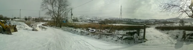 DSC00172.webp