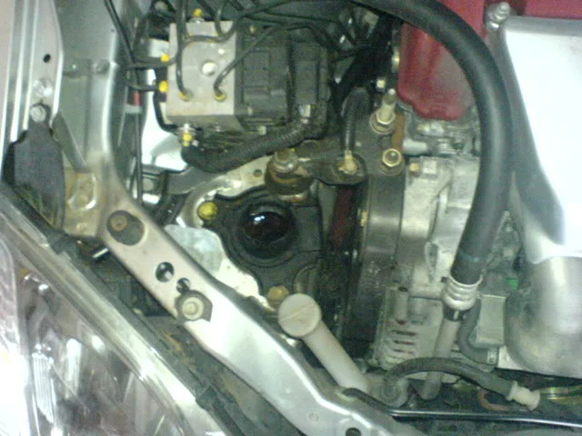DSC00174.webp