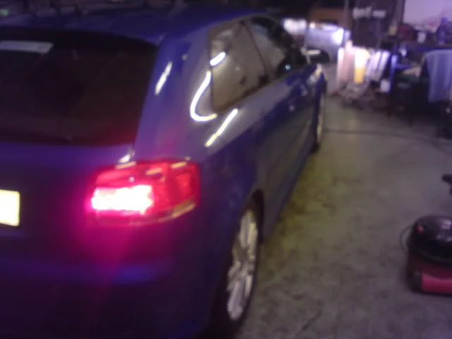 DSC00176.webp
