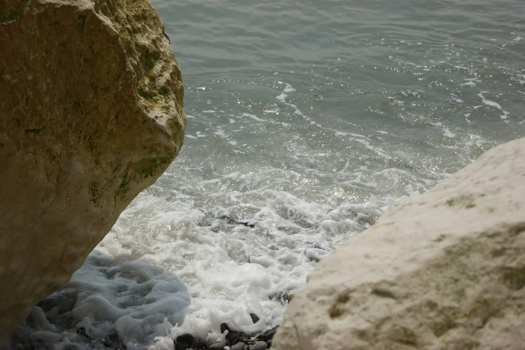 DSC00180.webp