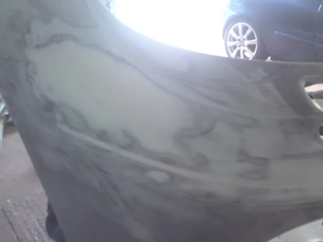 DSC00180.webp
