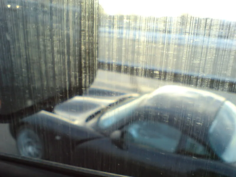 DSC00181.webp