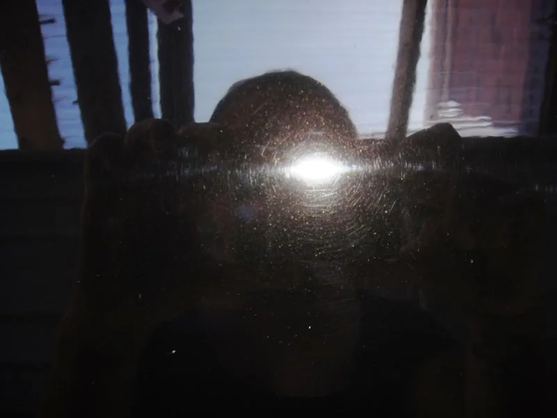 DSC00183.webp